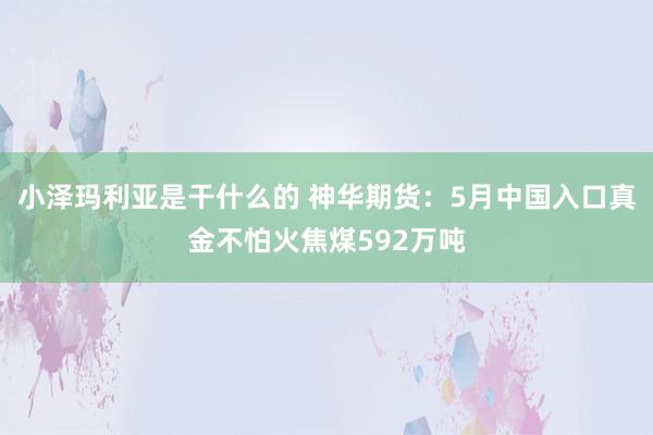 小泽玛利亚是干什么的 神华期货：5月中国入口真金不怕火焦煤592万吨