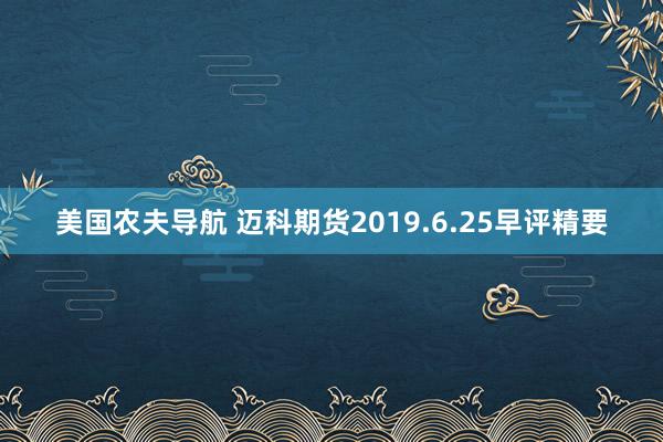 美国农夫导航 迈科期货2019.6.25早评精要