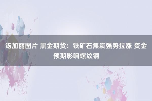 汤加丽图片 黑金期货：铁矿石焦炭强势拉涨 资金预期影响螺纹钢