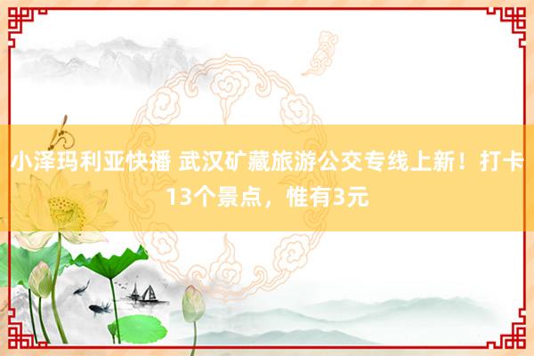 小泽玛利亚快播 武汉矿藏旅游公交专线上新！打卡13个景点，惟有3元