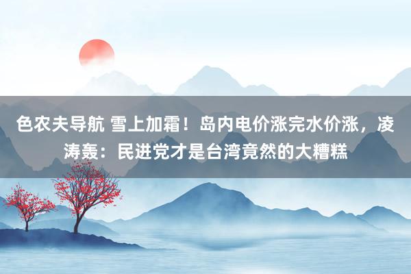 色农夫导航 雪上加霜！岛内电价涨完水价涨，凌涛轰：民进党才是台湾竟然的大糟糕