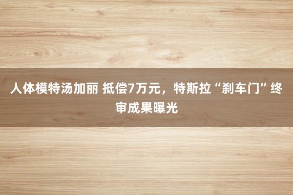 人体模特汤加丽 抵偿7万元，特斯拉“刹车门”终审成果曝光