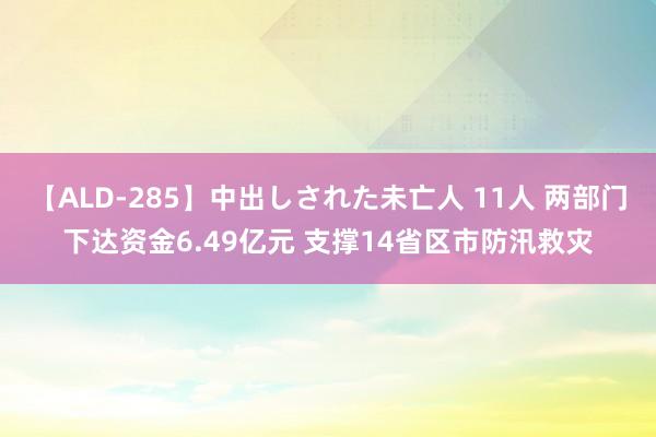 【ALD-285】中出しされた未亡人 11人 两部门下达资金6.49亿元 支撑14省区市防汛救灾