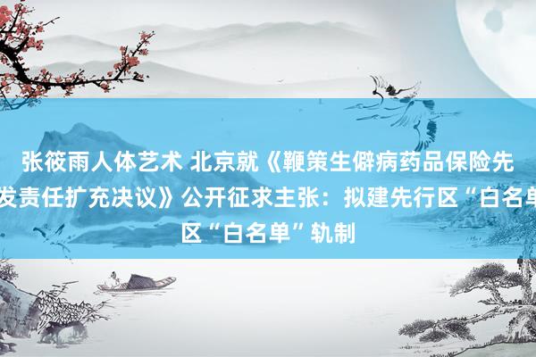 张筱雨人体艺术 北京就《鞭策生僻病药品保险先行区开发责任扩充决议》公开征求主张：拟建先行区“白名单”轨制