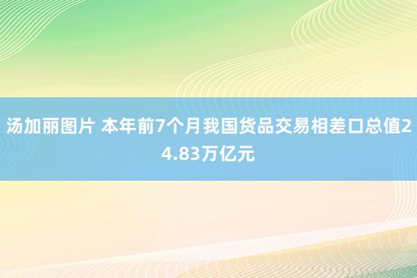 汤加丽图片 本年前7个月我国货品交易相差口总值24.83万亿元