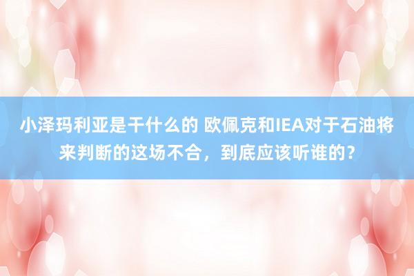 小泽玛利亚是干什么的 欧佩克和IEA对于石油将来判断的这场不合，到底应该听谁的？