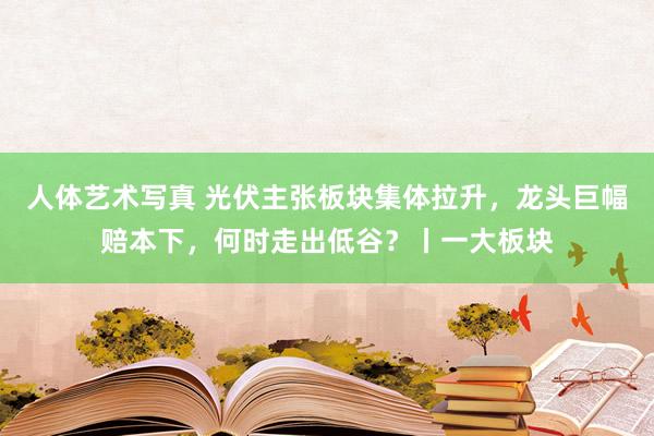 人体艺术写真 光伏主张板块集体拉升，龙头巨幅赔本下，何时走出低谷？丨一大板块