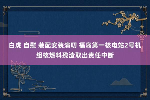 白虎 自慰 装配安装演叨 福岛第一核电站2号机组核燃料残渣取出责任中断