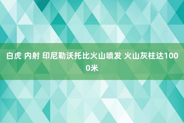 白虎 内射 印尼勒沃托比火山喷发 火山灰柱达1000米