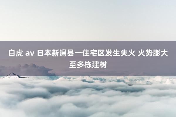 白虎 av 日本新潟县一住宅区发生失火 火势膨大至多栋建树