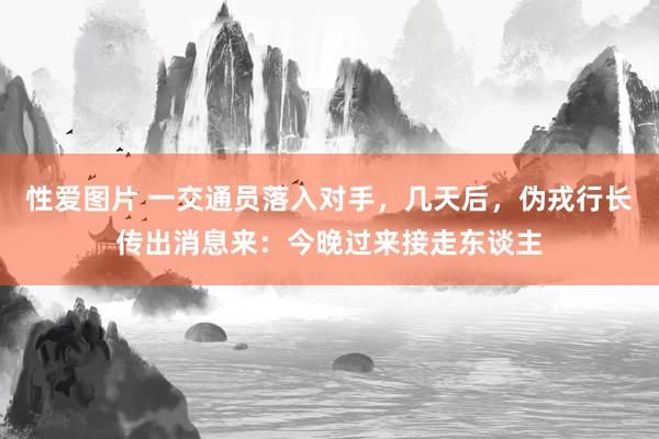 性爱图片 一交通员落入对手，几天后，伪戎行长传出消息来：今晚过来接走东谈主