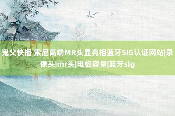 鬼父快播 索尼高端MR头显亮相蓝牙SIG认证网站|录像头|mr头|电板容量|蓝牙sig