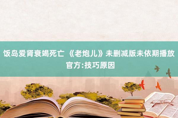 饭岛爱肾衰竭死亡 《老炮儿》未删减版未依期播放 官方:技巧原因