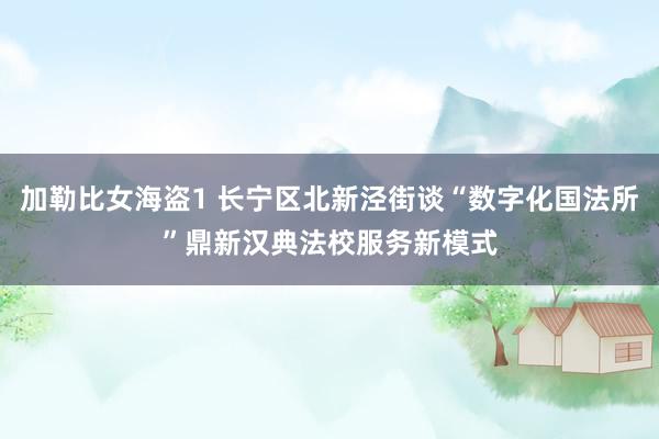 加勒比女海盗1 长宁区北新泾街谈“数字化国法所”鼎新汉典法校服务新模式