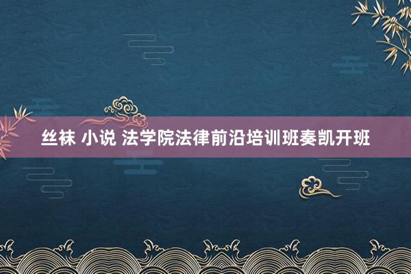 丝袜 小说 法学院法律前沿培训班奏凯开班