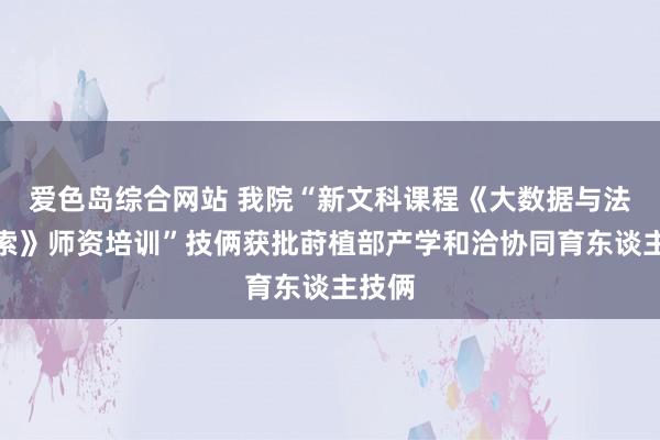 爱色岛综合网站 我院“新文科课程《大数据与法律检索》师资培训”技俩获批莳植部产学和洽协同育东谈主技俩