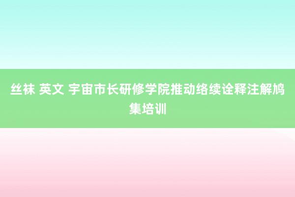 丝袜 英文 宇宙市长研修学院推动络续诠释注解鸠集培训