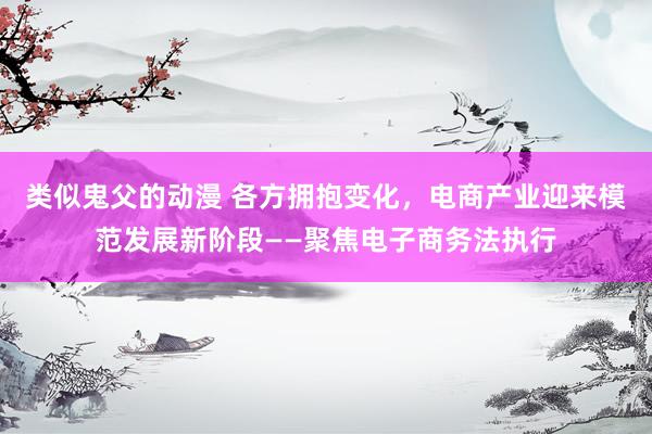 类似鬼父的动漫 各方拥抱变化，电商产业迎来模范发展新阶段——聚焦电子商务法执行