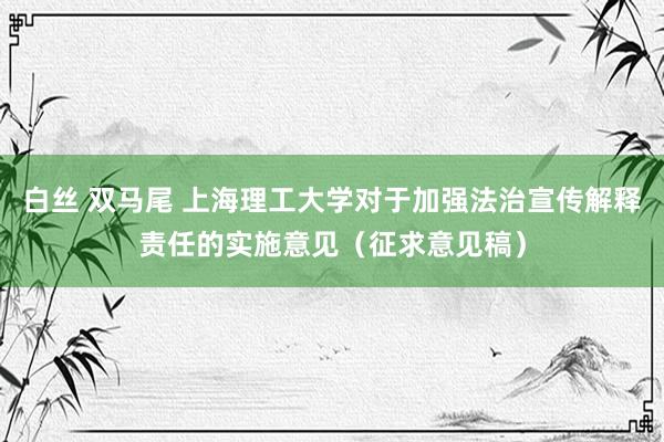 白丝 双马尾 上海理工大学对于加强法治宣传解释责任的实施意见（征求意见稿）