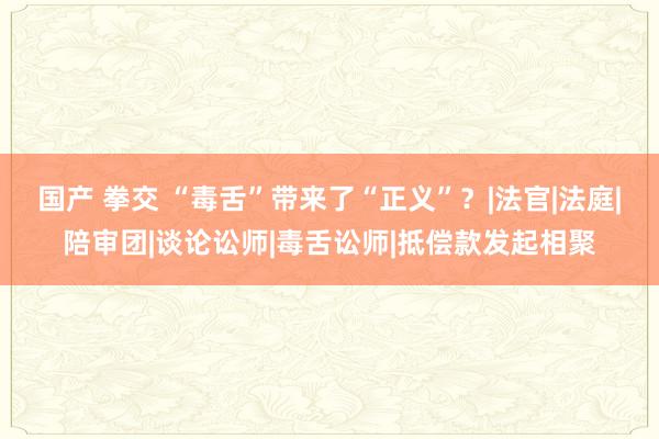 国产 拳交 “毒舌”带来了“正义”？|法官|法庭|陪审团|谈论讼师|毒舌讼师|抵偿款发起相聚