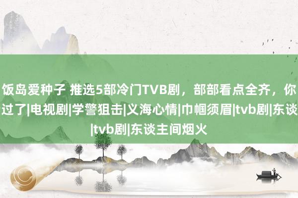 饭岛爱种子 推选5部冷门TVB剧，部部看点全齐，你可能齐错过了|电视剧|学警狙击|义海心情|巾帼须眉|tvb剧|东谈主间烟火